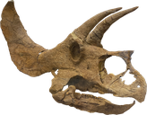 Jurassic Finance logo
